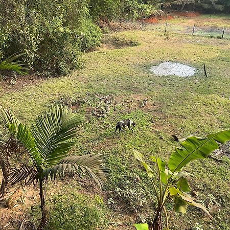 Hostelexp, Gokarna - A Slow-Paced Backpackers Community Zewnętrze zdjęcie