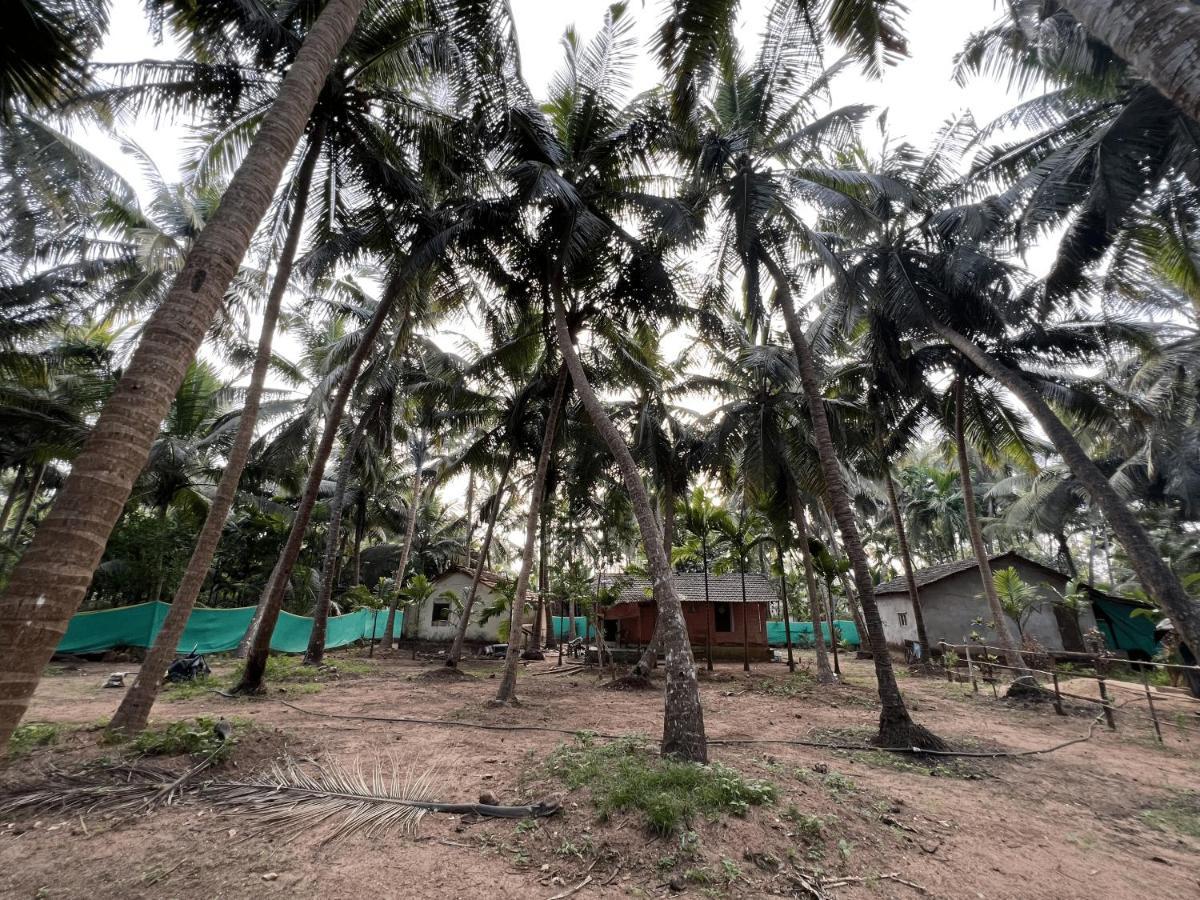 Hostelexp, Gokarna - A Slow-Paced Backpackers Community Zewnętrze zdjęcie