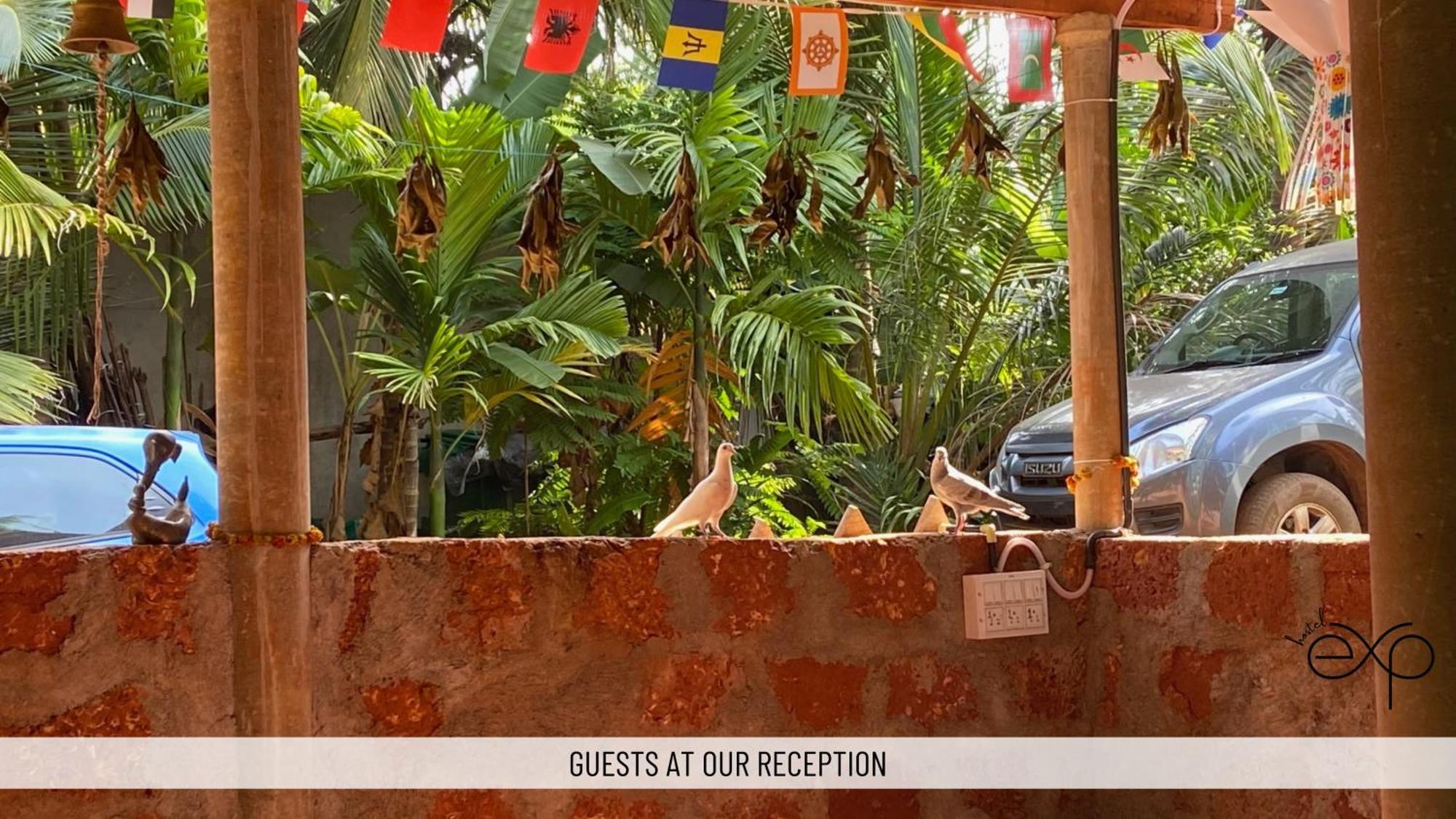 Hostelexp, Gokarna - A Slow-Paced Backpackers Community Zewnętrze zdjęcie
