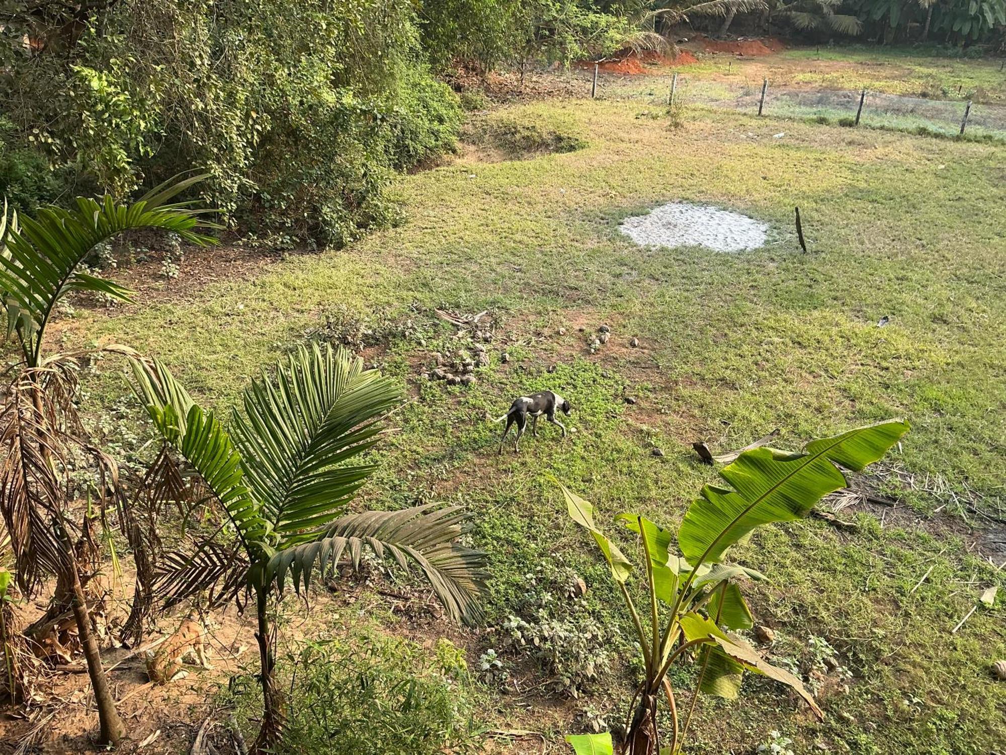 Hostelexp, Gokarna - A Slow-Paced Backpackers Community Zewnętrze zdjęcie